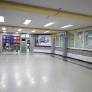 용인대 태권도장 이미지