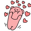 섭이네조개굽는집 이미지