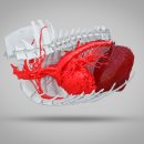 서산동물병원 이미지