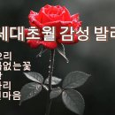 따스한 선율, 중년의 감성을 물들이다(잊으리,이름없는꽃,회상,빈자리,멍든마음) 이미지