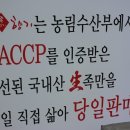 김포족발 이미지