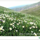 제이에스투어 이미지