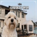 노을축산2 | 인천 강화도 애견동반 신축 독채 펜션 사랑옵다 대가족 복층 잔디마당 숙소