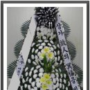 의료법인 삼정의료재단 삼정병원 이미지