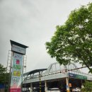 시장마트 | 수원 꽃시장 하나로마트 모종 행사 후기, 텃밭채소, 화분, 꽃까지 한 번에!