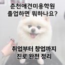 남산동물병원 부속 애견미용실 | 춘천 애견미용학원 졸업하면 뭐하나요? 취업부터 창업까지 진로 완전 정리!