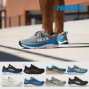 가비오타(GAVIOTA) 이미지