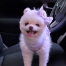 두루와펜션 이미지