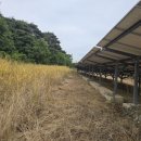 효심 태양광발전소 이미지