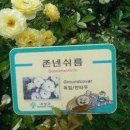 꽃을주는사람 이미지