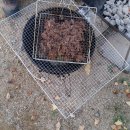 임진강글램핑 이미지