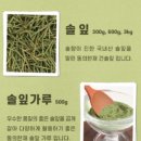 솔잎 이미지