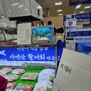 승리수산 | 제주 횟집 한림수협 두리호집|오션호 수산 회포장 후기 (+하나로마트 비교)