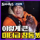 3월21일 도시어부 시즌5 선공개 경이로운 어마무시한 미터급 참돔! 남의 고기로 신난 김동현 영상 이미지