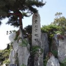 들꽃피는 언덕 이미지