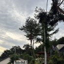 풍수원민박 이미지