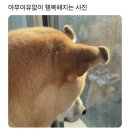1월 일상 (1) - 2025년 새해 시작