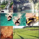 서광자동차랜드 이미지