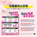 으뜸플러스안경 남악점 이미지