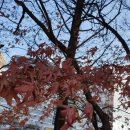 서둔동 14-25 이미지