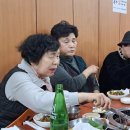 제기33 이미지