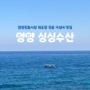 하나로싱싱회 | 강원도 양양 회포장 전문 양양 싱싱수산 :: 2인 모듬회 포장 후기