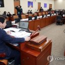 노웅래 카카오 검색결과