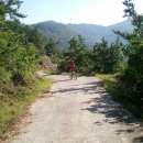 상아식당 이미지