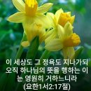 임마누엘 이미지