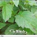 율촌 주민자치센터
