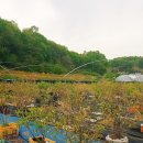 풍성한 은혜농장 이미지