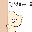 꽃사러가게