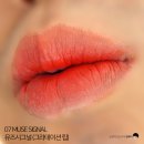 풀립농장 | 봄맞이 착붙틴트 추천 위드미 시그널 벨벳 립 마스터 신상컬러 4종