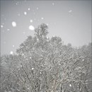 홋카이도 이미지