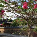 보성열화정>이진래고택 이미지