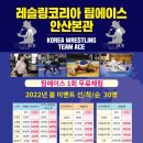 레짓수 네이버블로그
