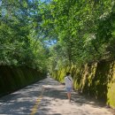 단성생활체육공원 이미지