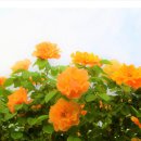 도봉-도봉-서울도봉-2080 이미지