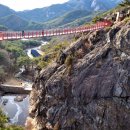 거창 항노화 힐링랜드 이미지