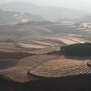 동천(东川, dōngchuān) 홍토지(红土地, hóngtǔdì) ㅡ 금수원(锦绣园, jīnxiùyuán) 이미지