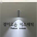 신수연 | 전문가의 테크닉이 돋보인 마곡피부관리, 결이고은 마곡점에서 선빛테라피 받은 날