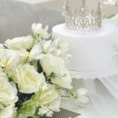 코코네 스튜디오
