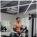 샵디디