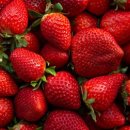 딸기 이미지
