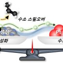 자동차 촉매박사 이미지