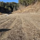 통골농장 이미지