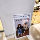 진은이발 | ​[방문후기] 유니클로 x JW 앤더슨 26SS 출시! 브리티시 감성 가득한 추천템 (feat. 롯데백화점 대구점)