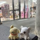 카츠올곶