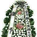 여주-0355 Daum카페