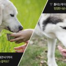슈퍼패드